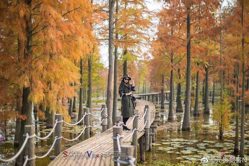 懂事！金丝猴坐路边礼貌接过游客苹果，这只猴子为何这么礼貌？游戏画面
