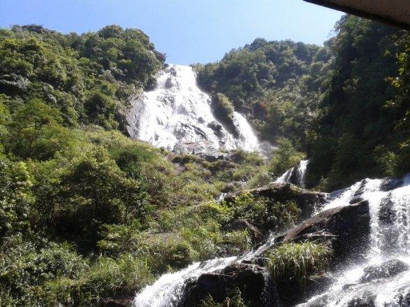 打造“永不落幕”的乡村振兴品牌节！数字云展厅正式上线→
