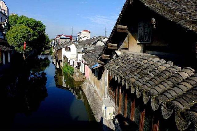 五指毛桃的根可以入药,有健脾补肺、行气利湿、舒筋活络等功效