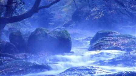 毒舌电影合伙人赵峥心脏骤停去世，享年44岁